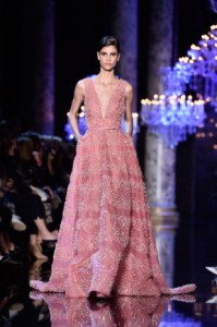 Elie Saab : Runway - Paris Fashion Week : Haute Couture Fall/Winter 2014-2015