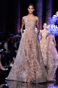 Elie Saab : Runway - Paris Fashion Week : Haute Couture Fall/Winter 2014-2015