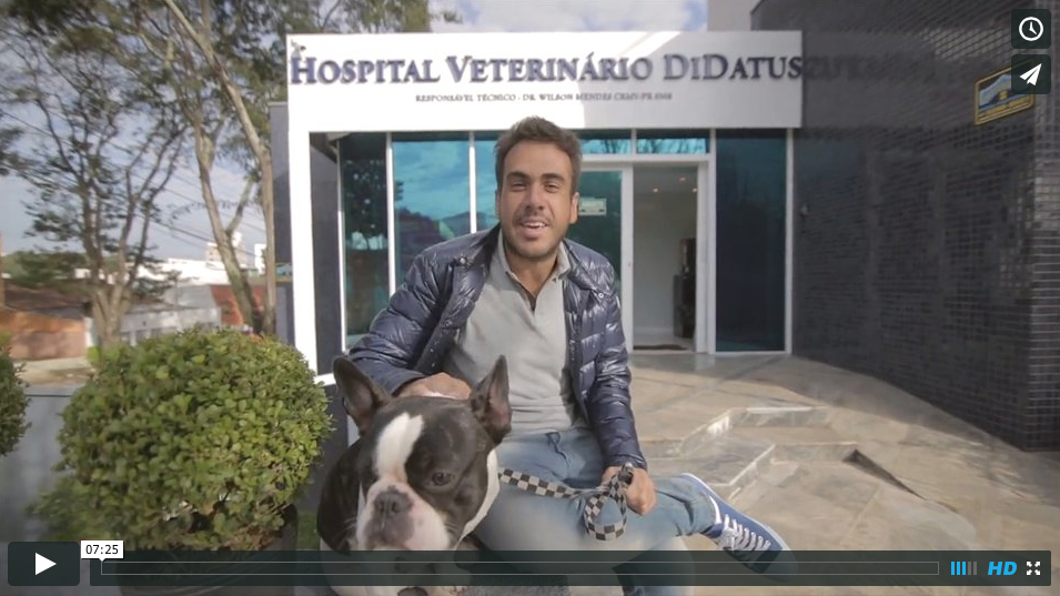 Video: Hospital Veterinário DiDatus