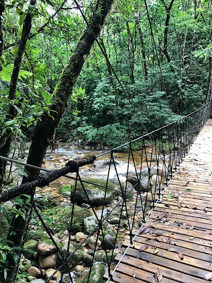 Um parque ecológico fora de série, único e implacável! By @oquefazercuritiba