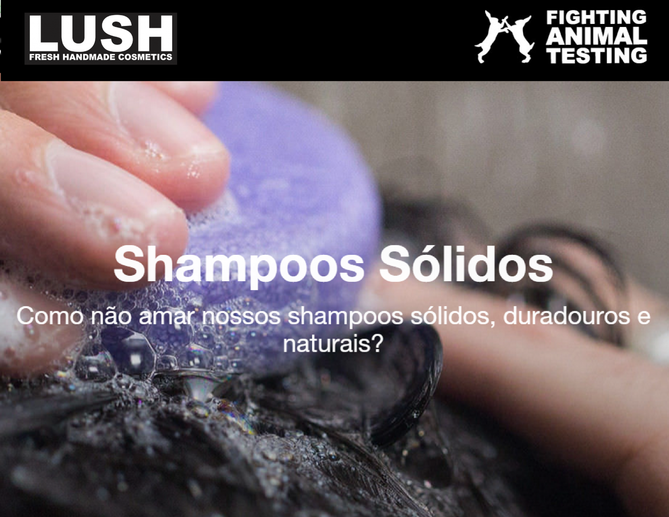 Shampoo sólido