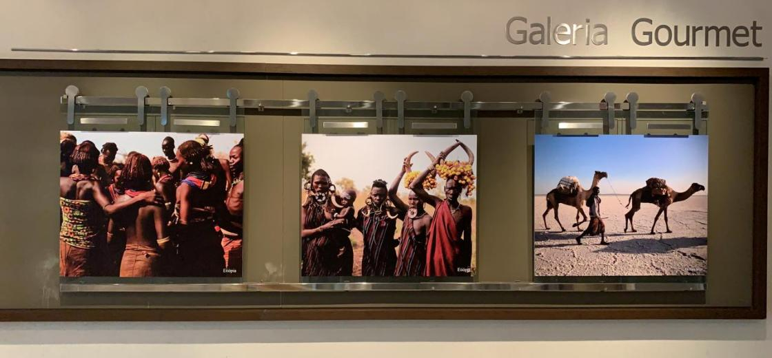 Exposição em Curitiba reúne imagens emocionantes do Continente Africano