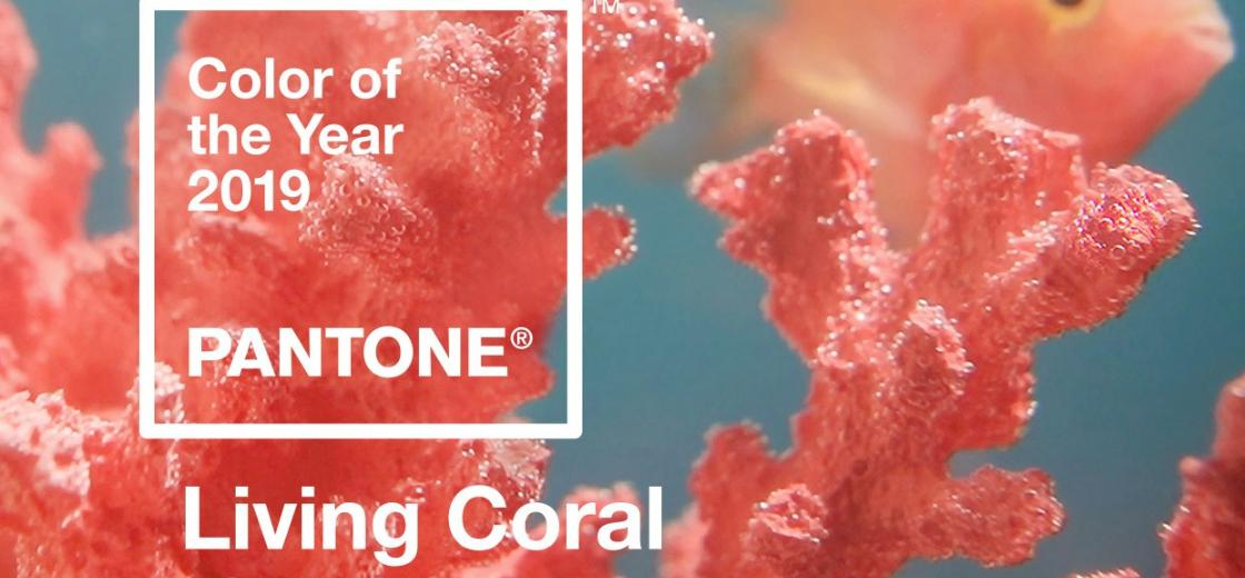 Living Coral: a cor de 2019 é tema de evento em Curitiba