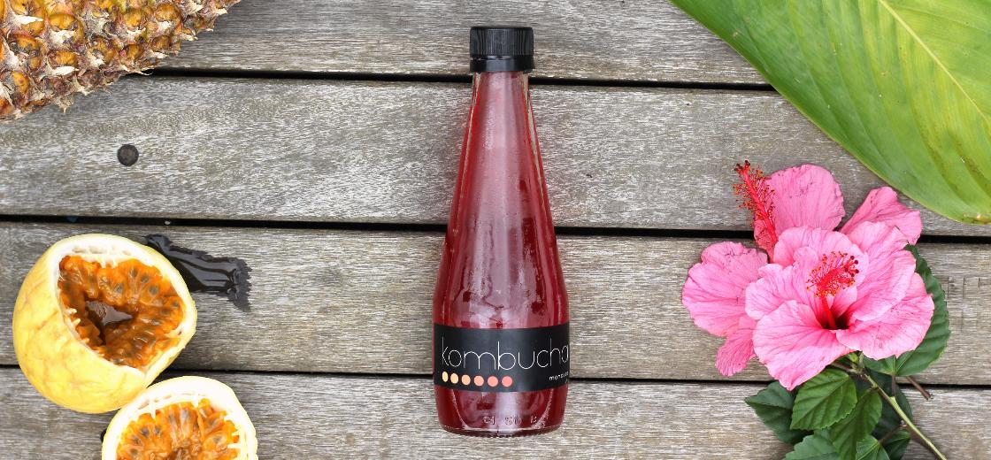 Conheça o Kombucha da Moncloa e seus benefícios