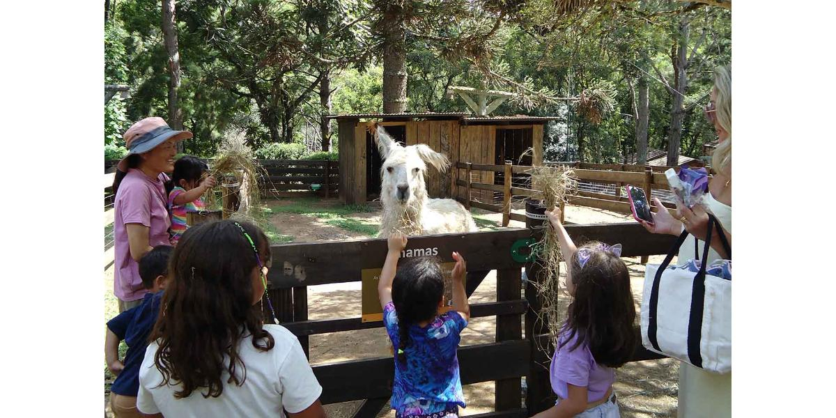 Novidades de férias na Vila Katu: promoções, natureza e cultura