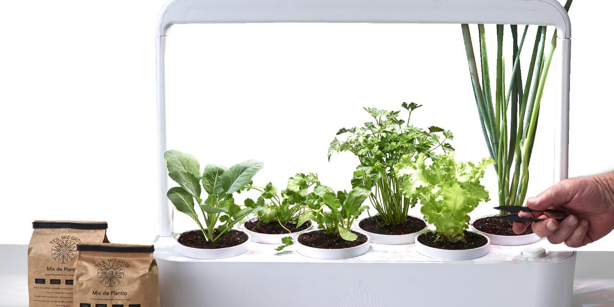 Startup lança horta inteligente para quem deseja cultivar seu próprio alimento em casa