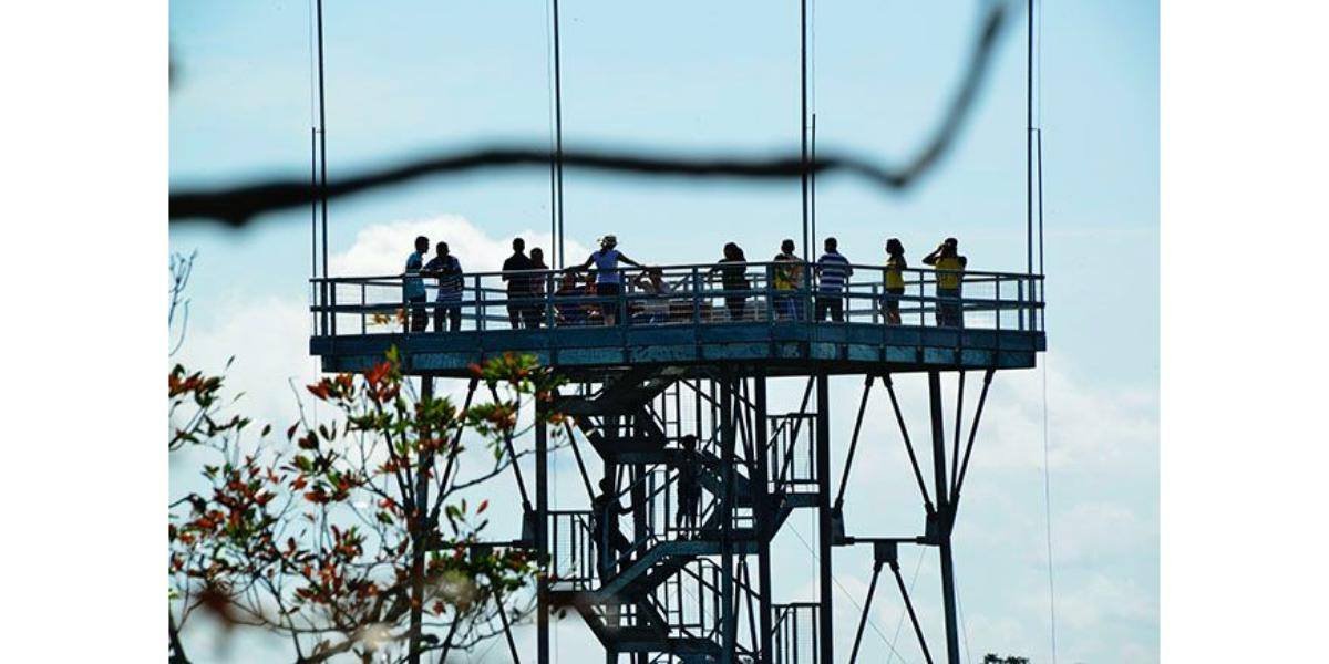 Seis museus pelo Brasil para visitar com crianças