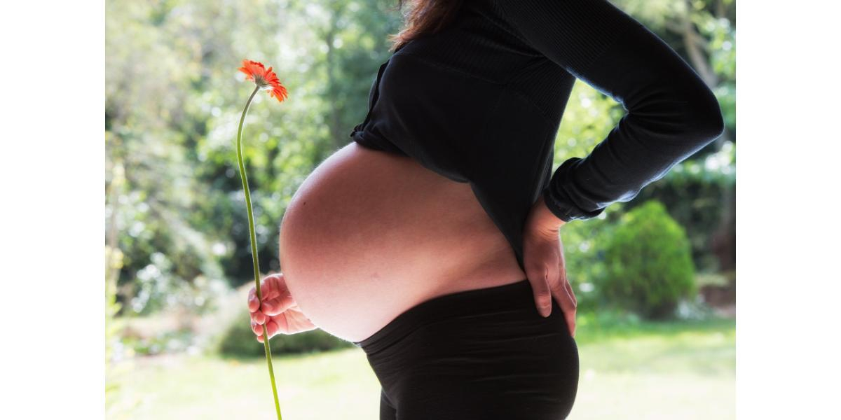 Estrias na gravidez: Mustela relança linha Maternité com formulação ainda mais natural